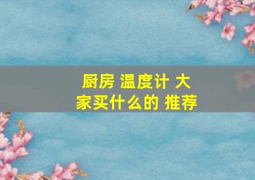 厨房 温度计 大家买什么的 推荐